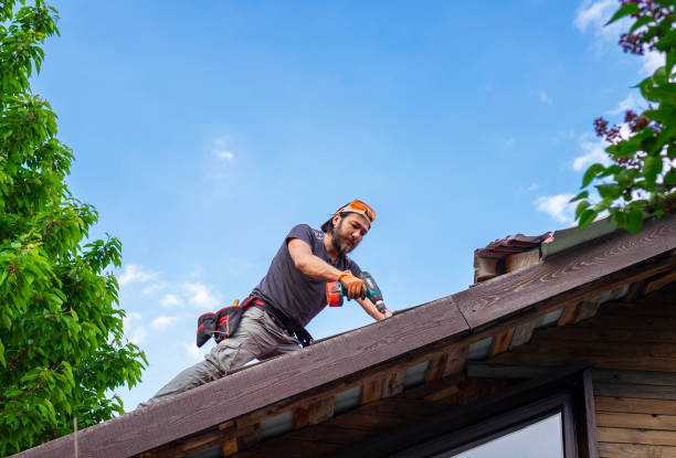 Best Cold Roofs  in Quinnipiac University, CT